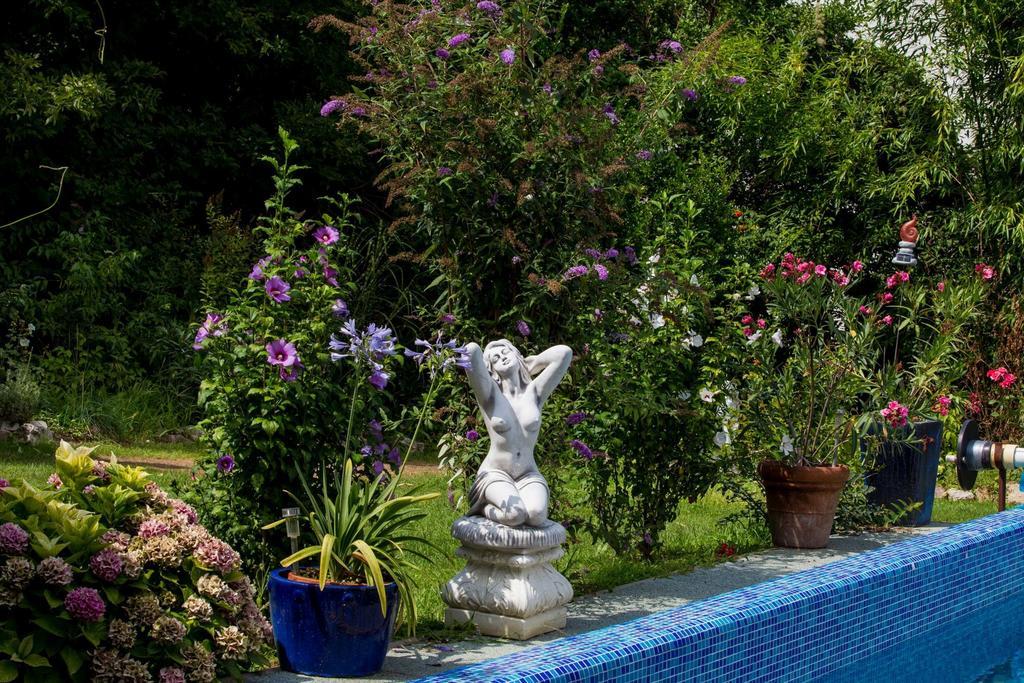 Villa Sonnenschein Heviz Ruang foto